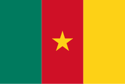 While traveling to Cameroon, please keep in mind some routine vaccines such as Hepatitis A, Hepatitis B, etc.