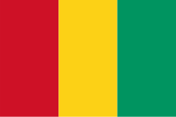 While traveling to Guinea, please keep in mind some routine vaccines such as Hepatitis A, Hepatitis B, etc.