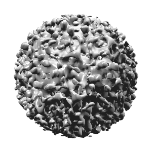 Hepatitis B can be contracted from infected by sharing body fluids and direct exposure to infected people.