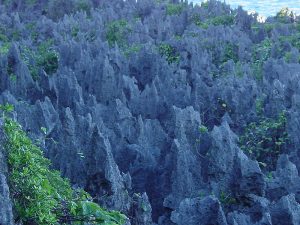 An iconic view of Niue Make sure you know about Niue’s medical care and safety and security tips.