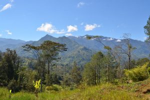 An iconic view of Papua New Guinea Make sure you know about Papua New Guinea’s medical care and safety and security tips.
