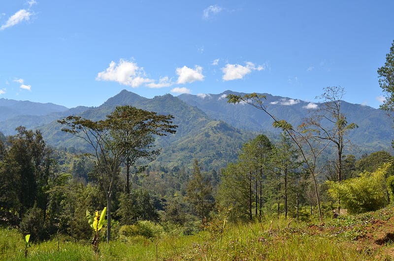 Make sure you know about Papua New Guinea’s medical care and safety and security tips.