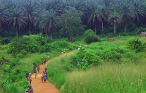 An iconic view of Sierra Leone Make sure you know about Sierra Leone’s medical care and safety and security tips.