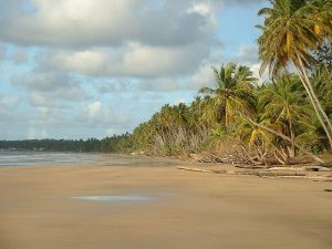 An iconic view of Trinidad and Tobago Make sure you know about Trinidad and Tobago’s medical care and safety and security tips.