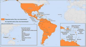 The symptoms that are associated with the Zika virus are similar to those that are caused by other types of mosquito-borne diseases.