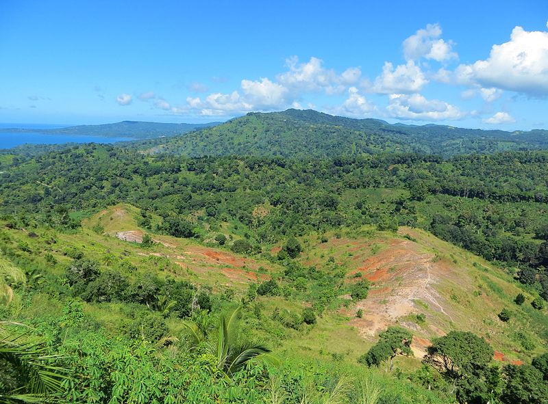 Mayotte (France) - Traveler view, Travelers' Health