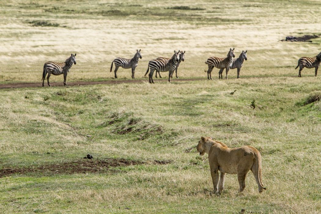 Tanzania Travel Off the beaten path